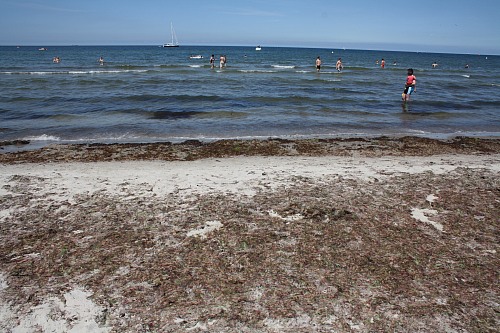 Warnemünde
<p>Summertime at the beach. </p>Sommer am Strand.&nbsp; 
Küste - Strand, Tourismus, Öffentlicher Bereich/Strand
EUCC-D